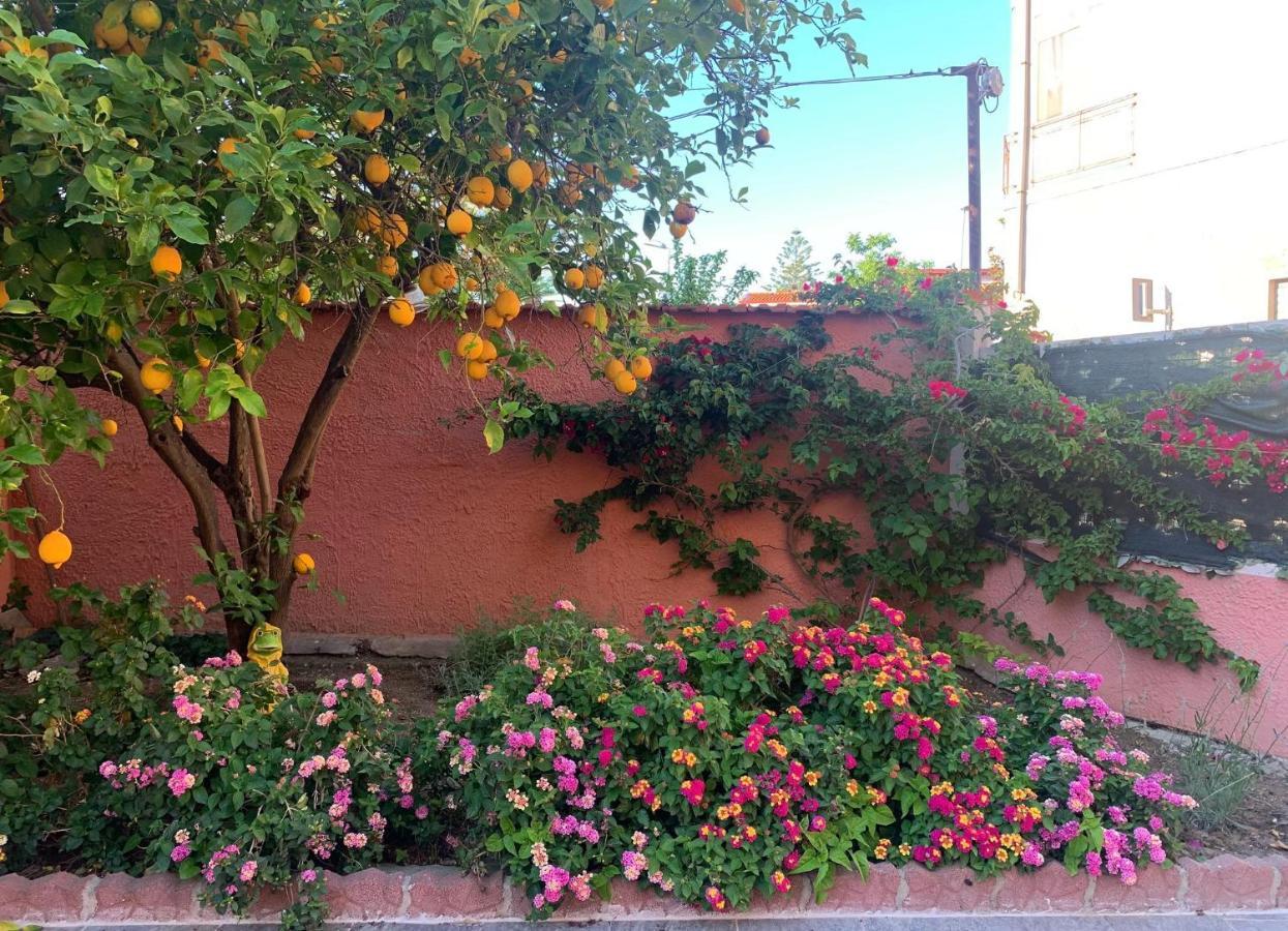 I Limoni Del Sud Sardegna Assemini Exterior foto